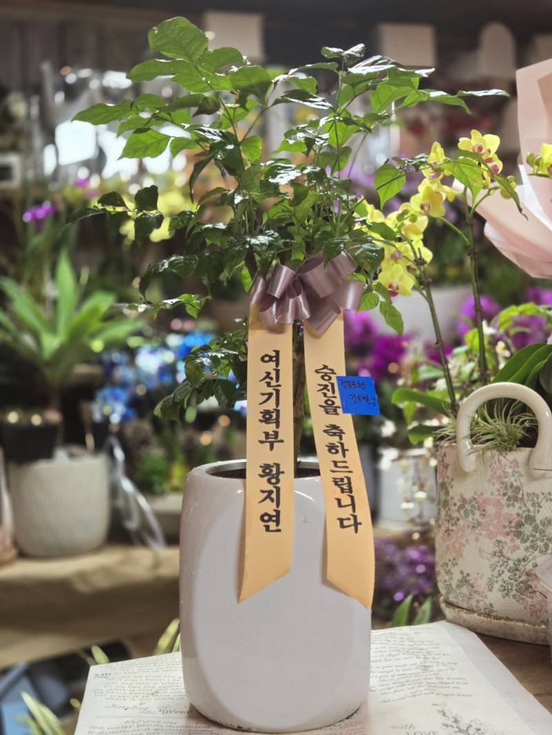 업로드 이미지