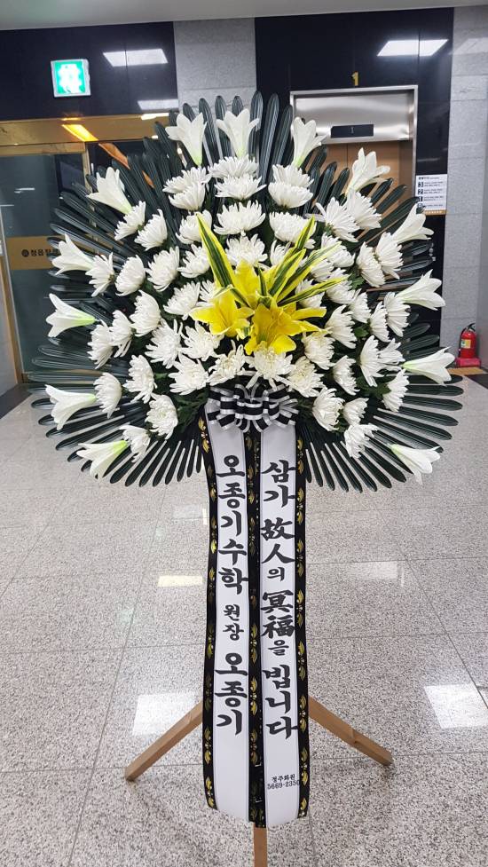 업로드 이미지