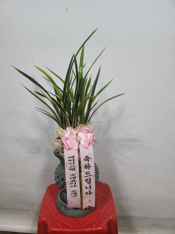 업로드 이미지