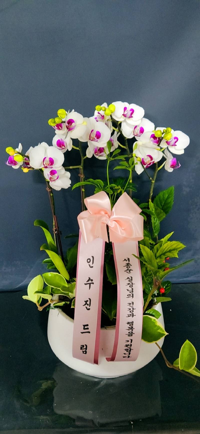 업로드 이미지