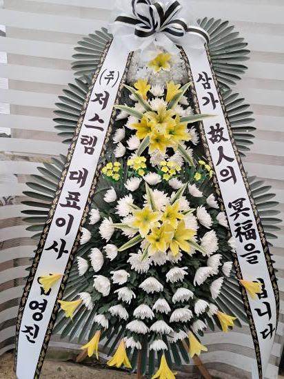 업로드 이미지