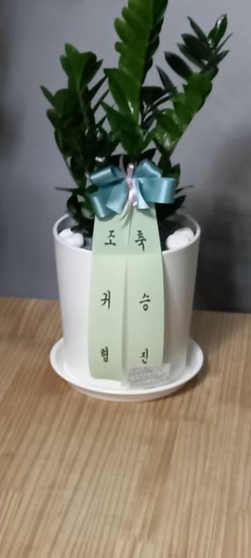 업로드 이미지