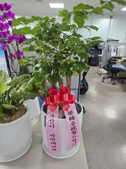 업로드 이미지