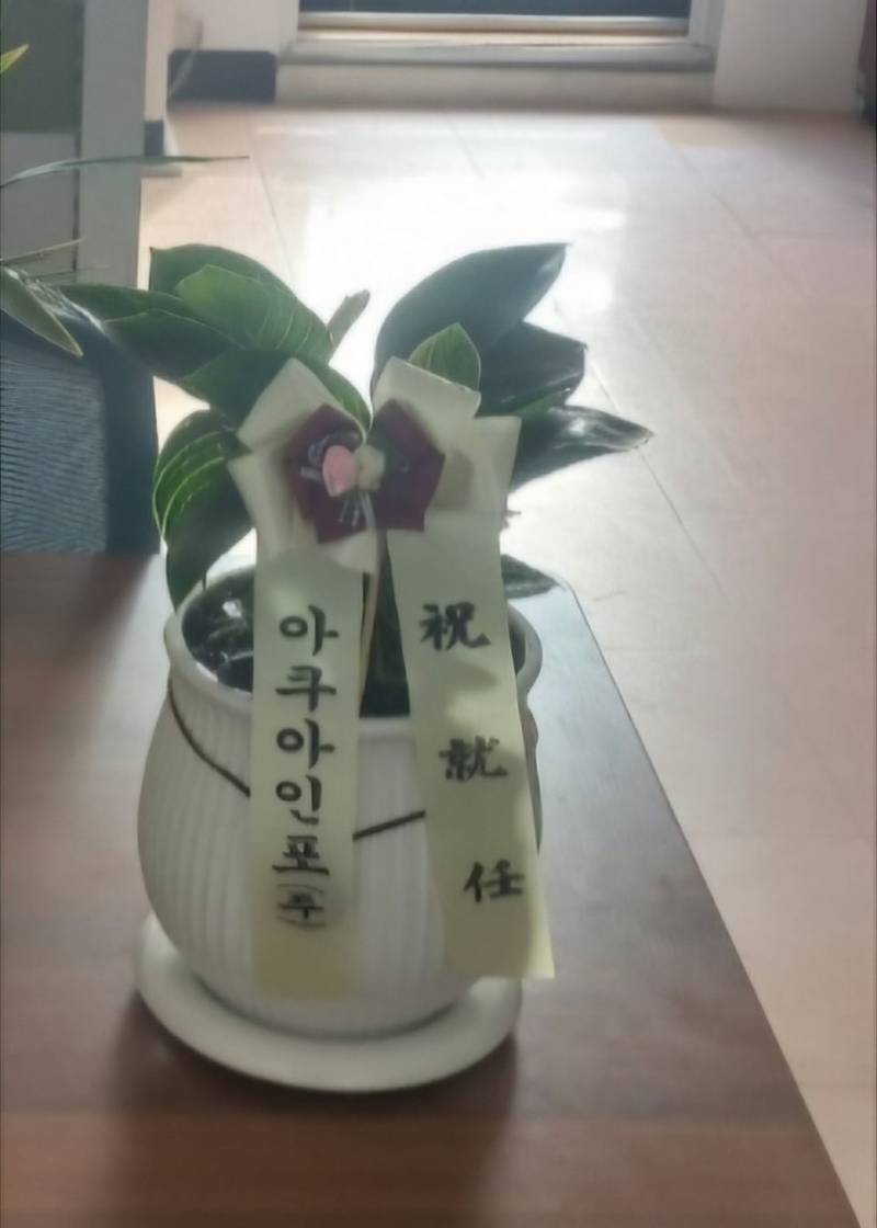 업로드 이미지