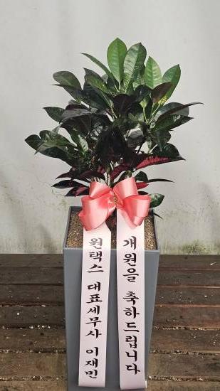 업로드 이미지