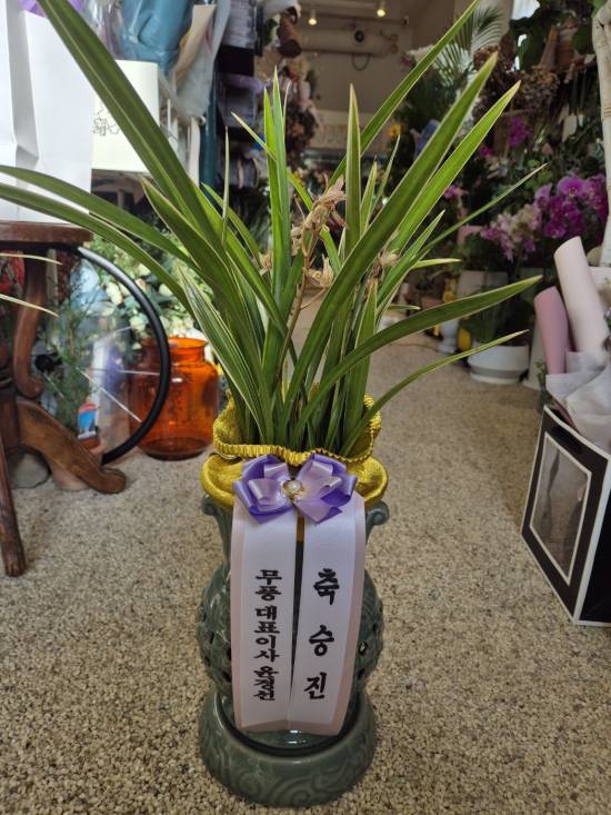 업로드 이미지