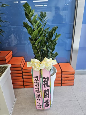 배송사진