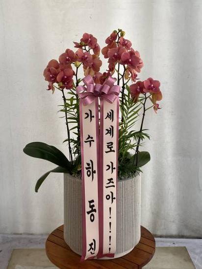 업로드 이미지