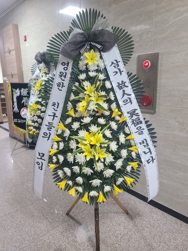 업로드 이미지