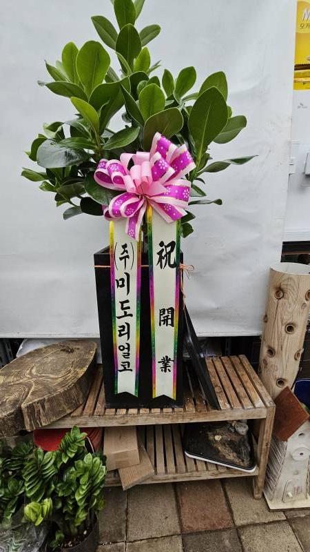 업로드 이미지