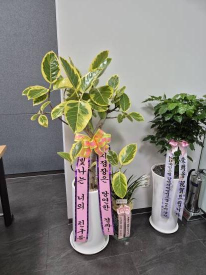 업로드 이미지