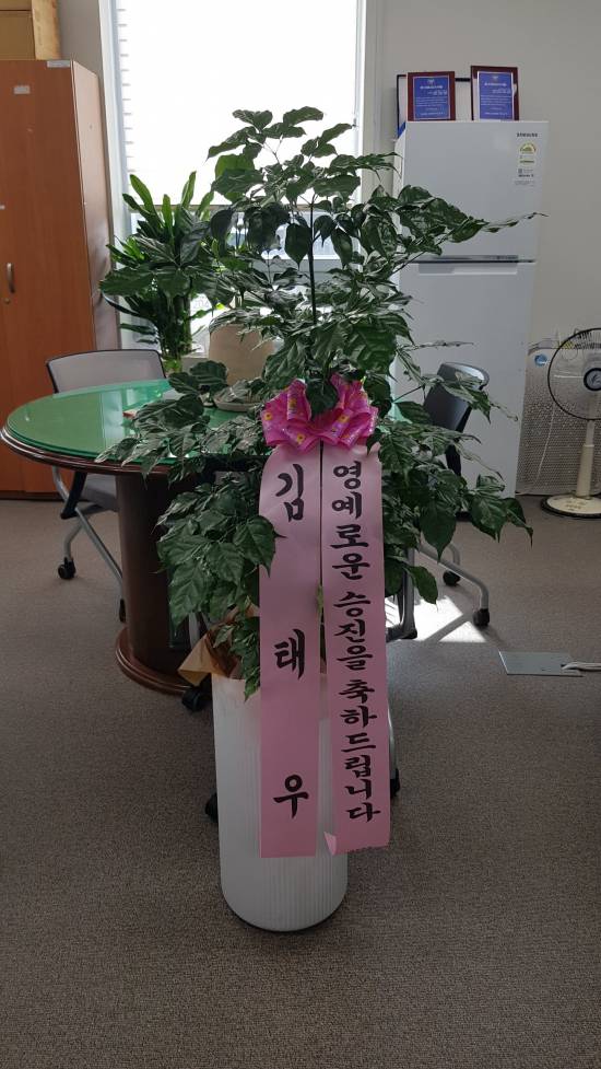 업로드 이미지