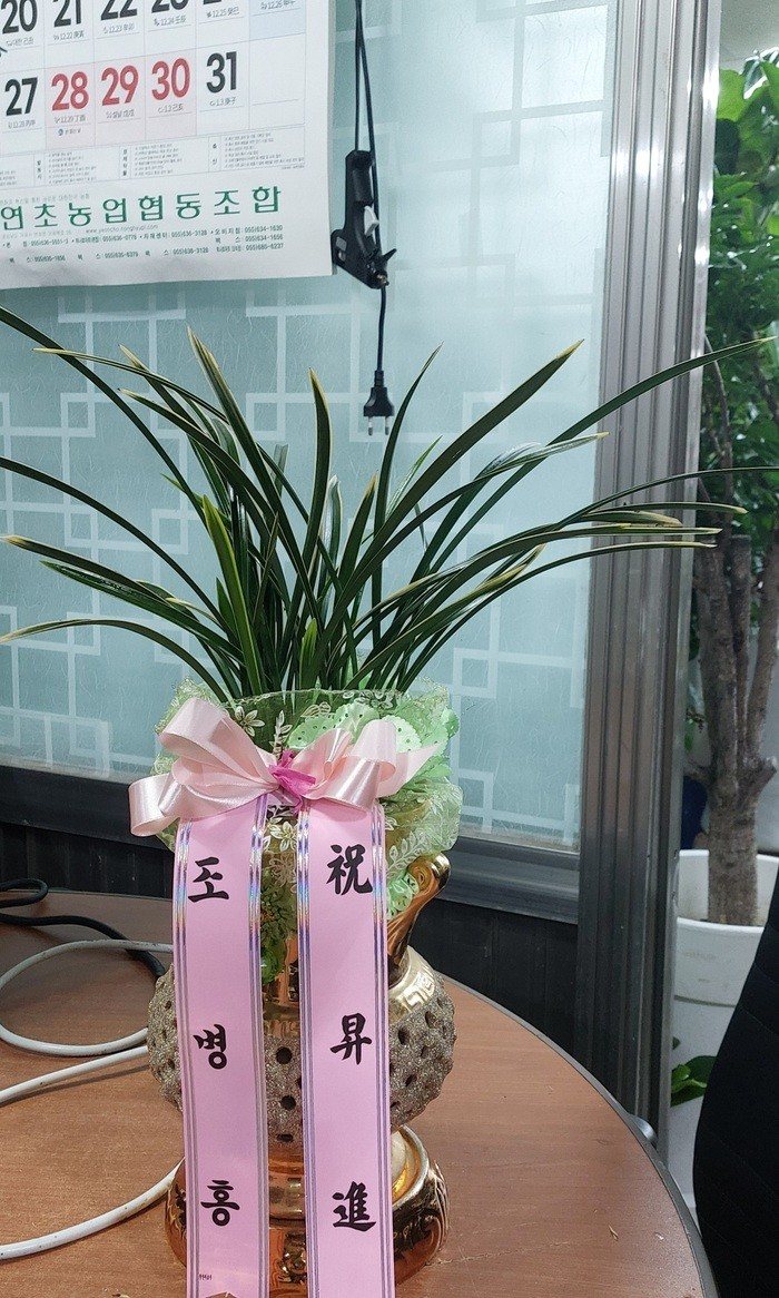 업로드 이미지