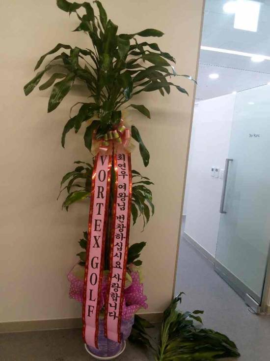업로드 이미지
