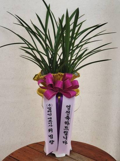 업로드 이미지