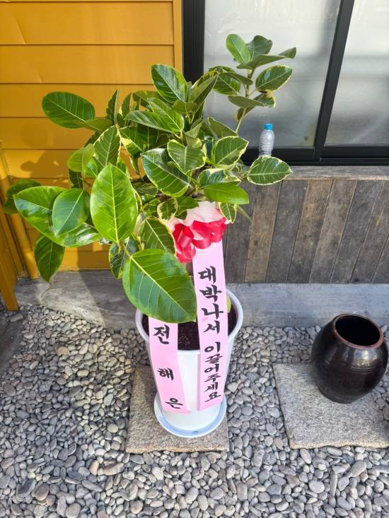 업로드 이미지