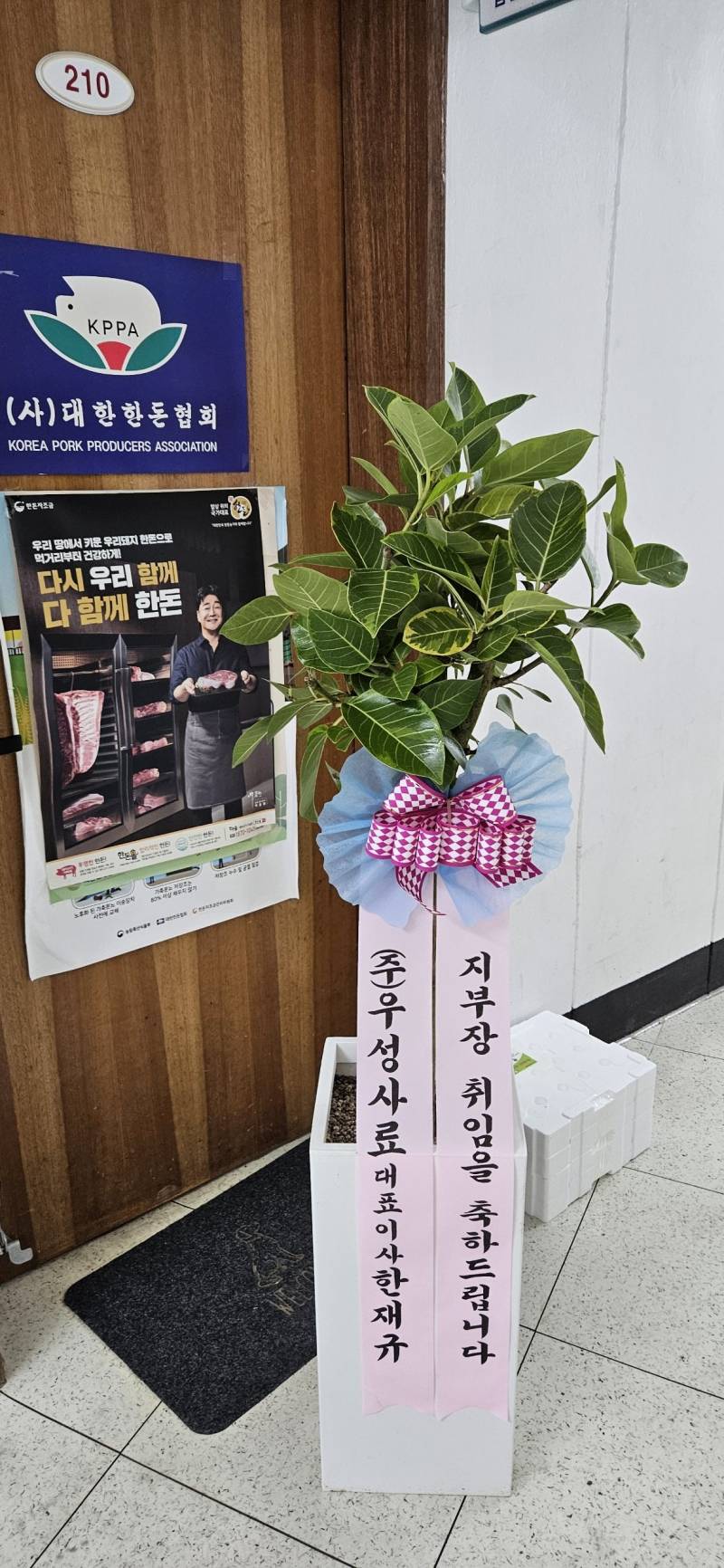 업로드 이미지