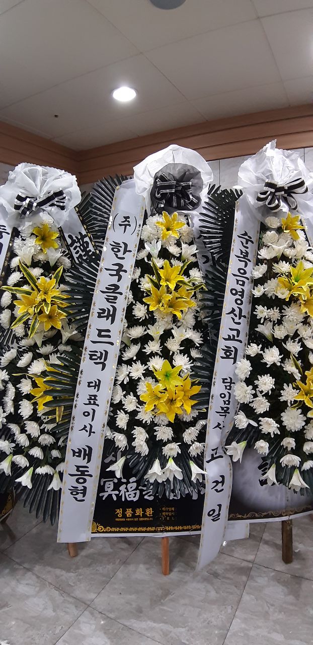 업로드 이미지