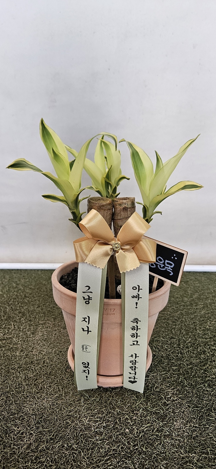 업로드 이미지