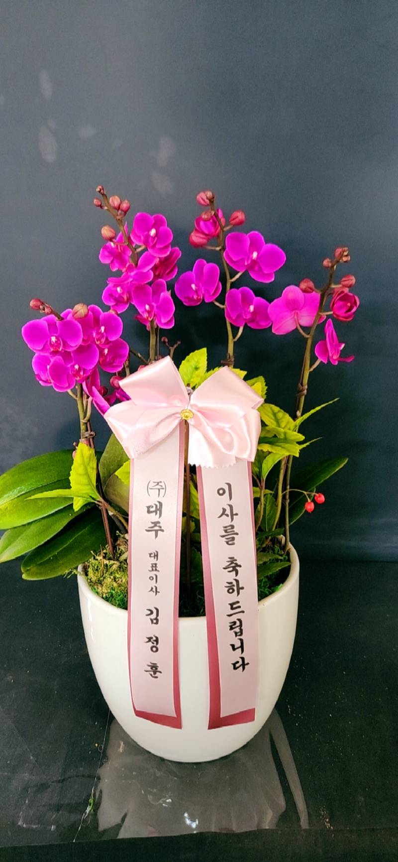 업로드 이미지