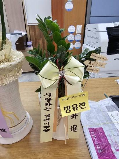업로드 이미지