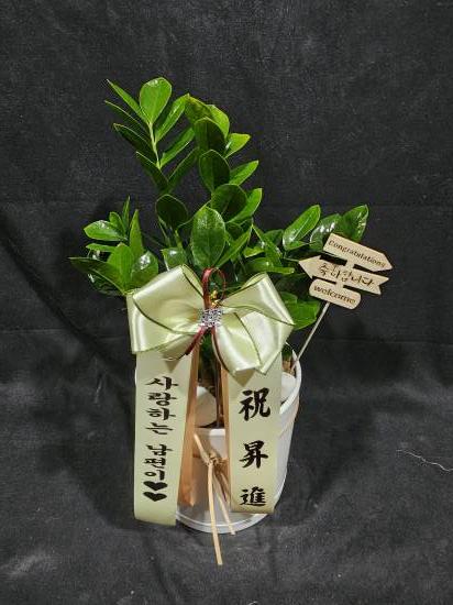 업로드 이미지