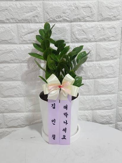 업로드 이미지