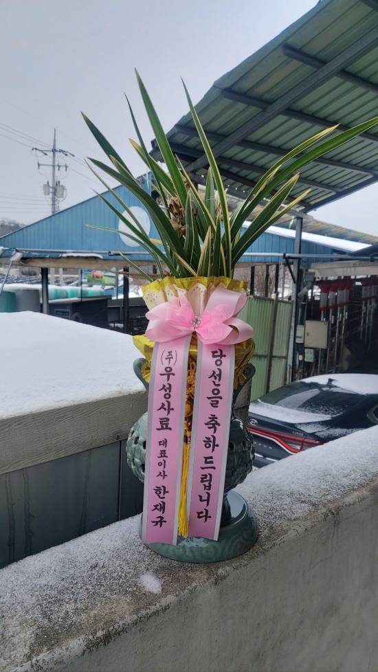업로드 이미지