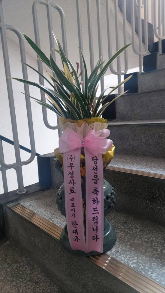 업로드 이미지