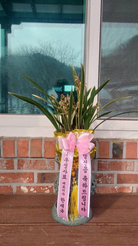 업로드 이미지