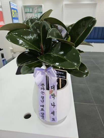 업로드 이미지