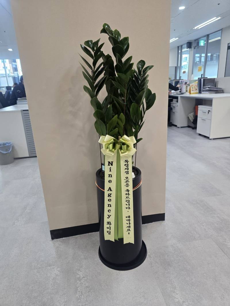 업로드 이미지