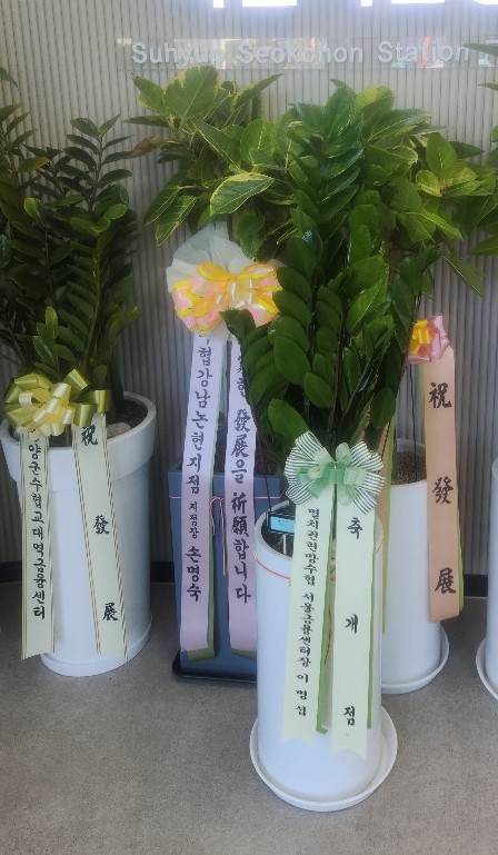 업로드 이미지