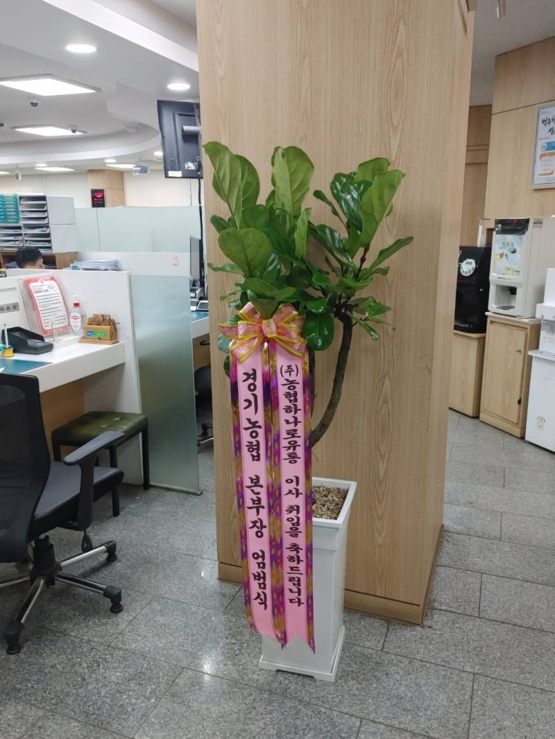 업로드 이미지