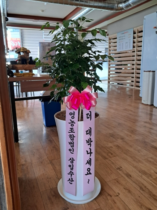 업로드 이미지