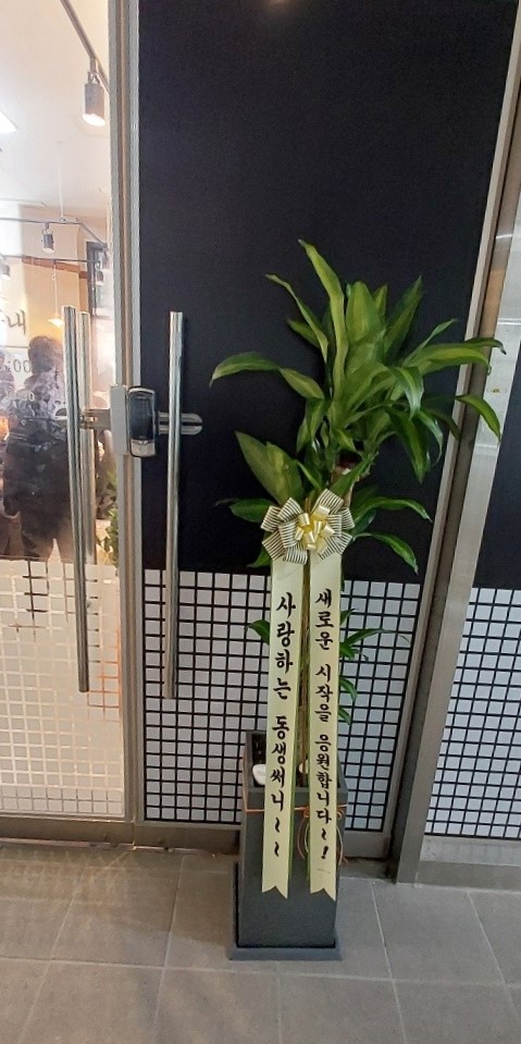 업로드 이미지