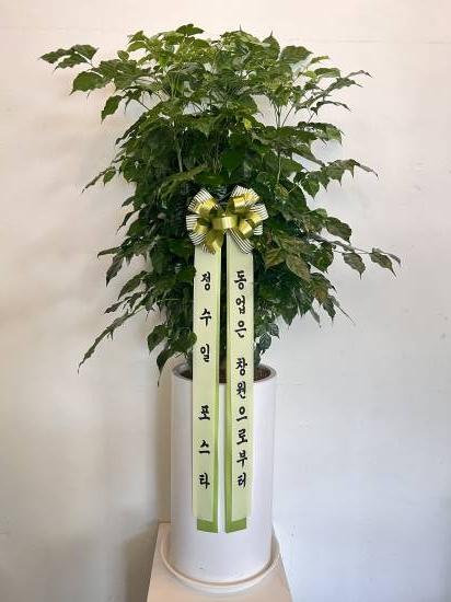 업로드 이미지