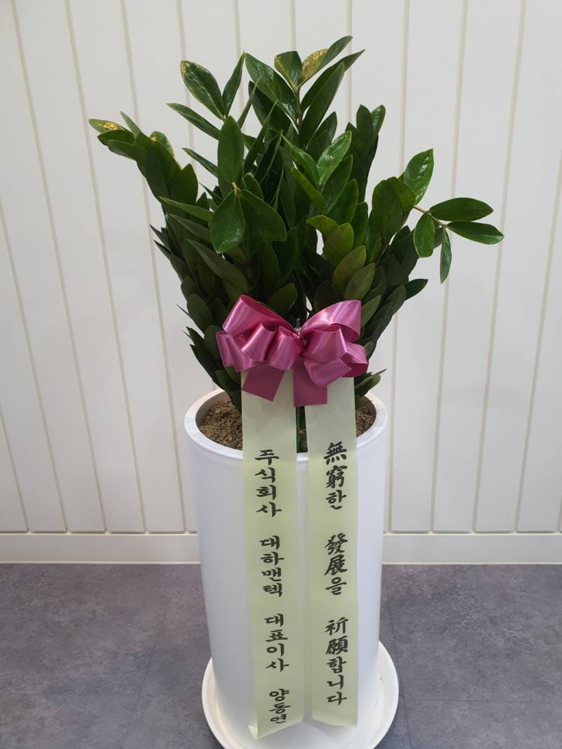 업로드 이미지