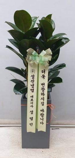 업로드 이미지
