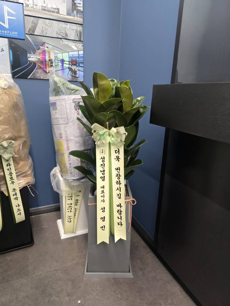 업로드 이미지
