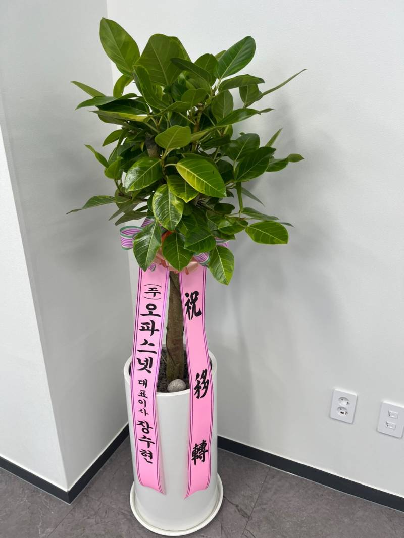 업로드 이미지