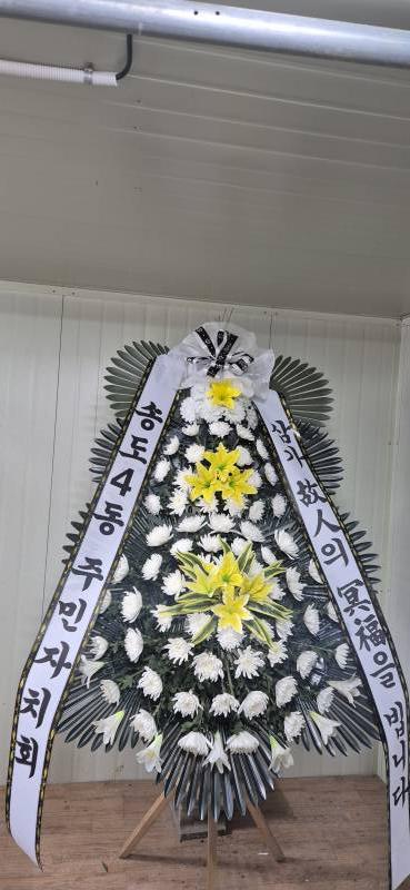 업로드 이미지