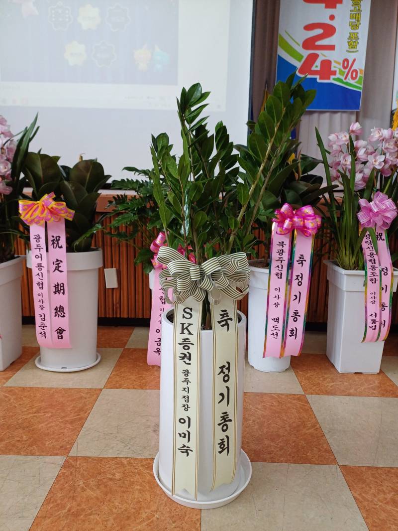 업로드 이미지