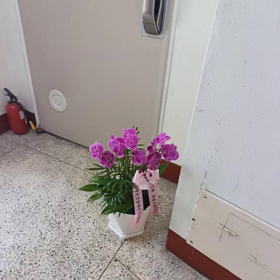 업로드 이미지