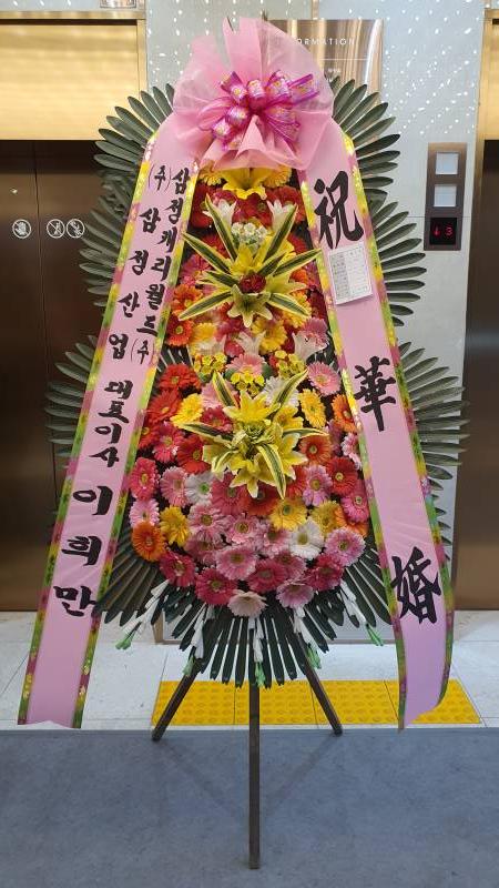 업로드 이미지