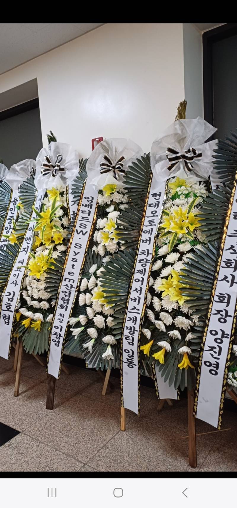 업로드 이미지