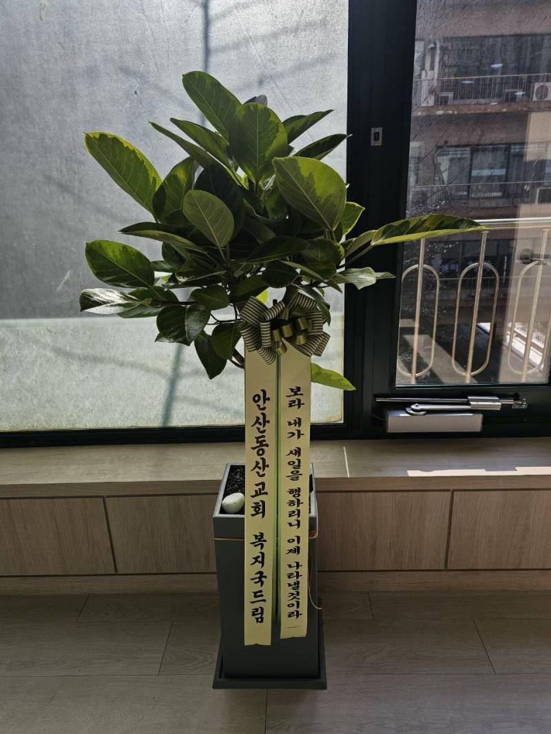 업로드 이미지