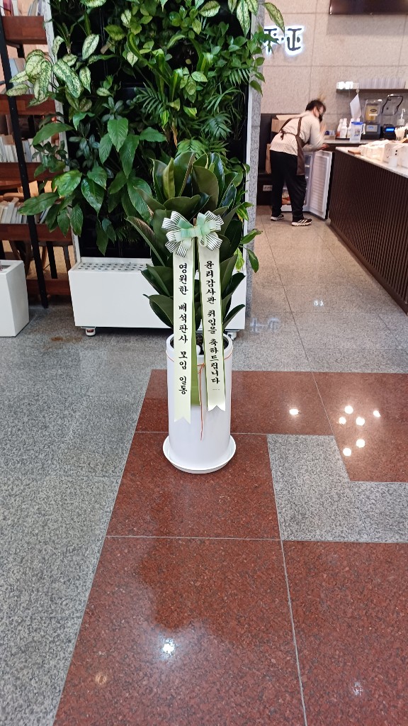 업로드 이미지