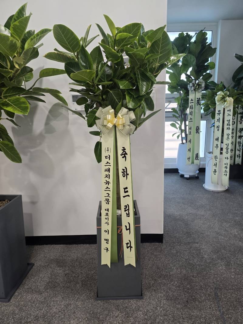 업로드 이미지