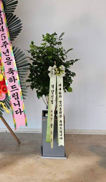 업로드 이미지